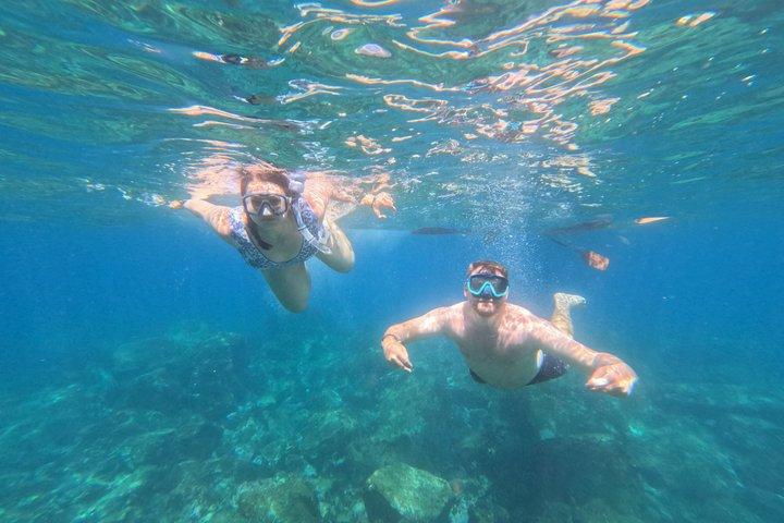Teneriffa : Kleine Kajak- und Schnorcheltour mit Meeresfauna