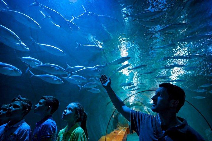 Valencia Art Nouveau Private Tour med Oceanografic mulighed