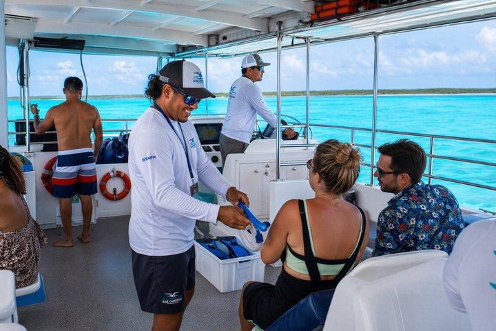 Catamaran Excursion + Open bar + Snorkeling at El Cielo