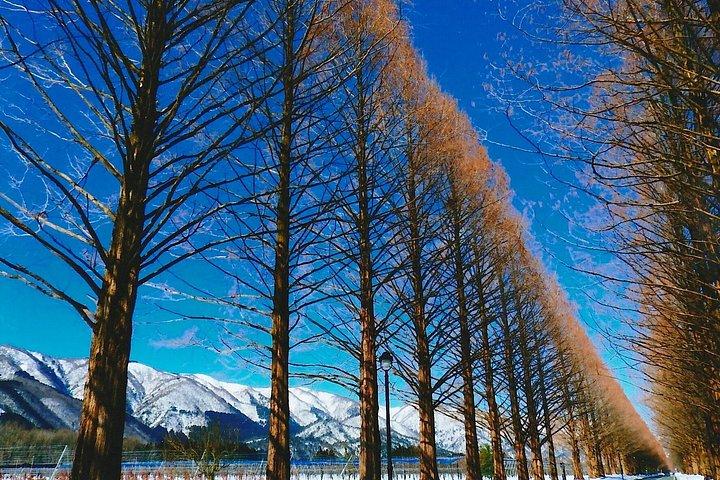味噌造りと風光明媚な風景を楽しむ滋賀文化ツアー2日間