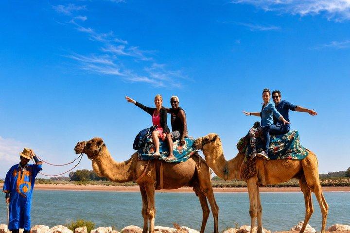 Giro in cammello ad Agadir con prelievo in hotel
