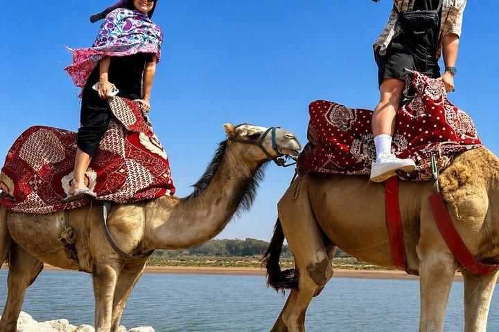 Giro in cammello ad Agadir con prelievo in hotel