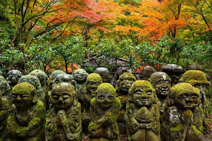 Kyoto Private Tour – Full Day with Local Guide & Nara Option