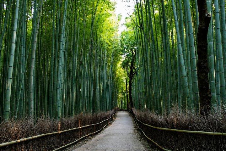 Kyoto Private Tour – Ganztag | Hidden Gems & Nara Option