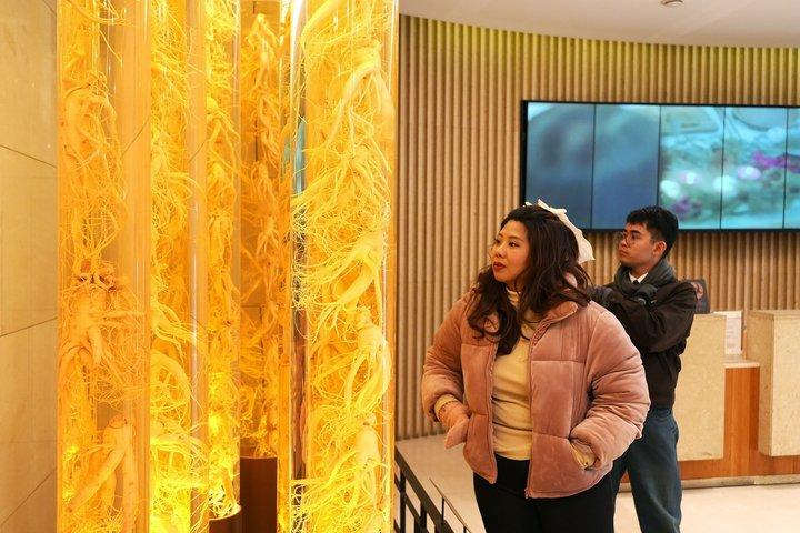 Seoul DMZ Aegibong, Hanok Village, Ginseng Museum und Sky Park