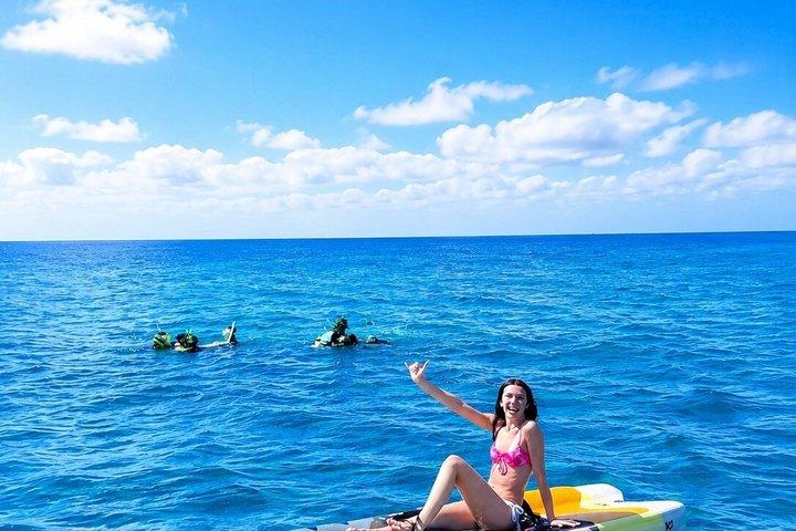 Waikiki Turtle Canyon Snorkeling & 6 - em - 1 atividades