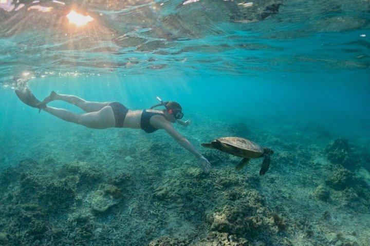 クルーズ船乗客向けロンボクプライベートツアー