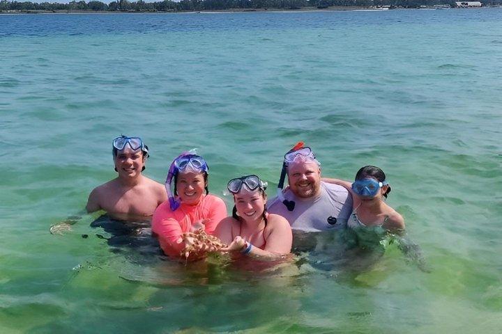 Private 3 Hours Dolphin Tour to Shell Island in Panama City Beach