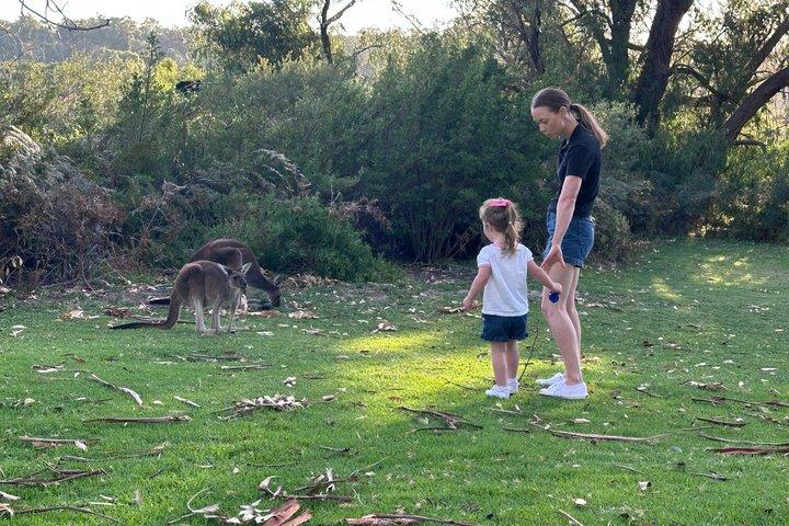 Bodega y chocolate privado Swan Valley Family Fun Day