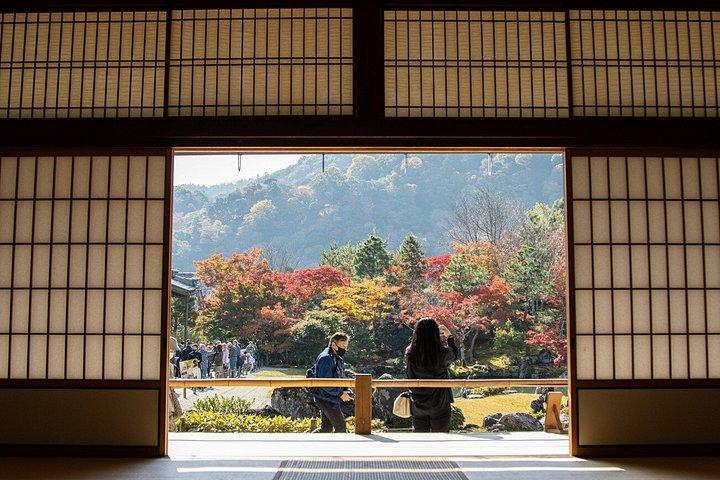 京都プライベートツアー早朝嵐山竹林