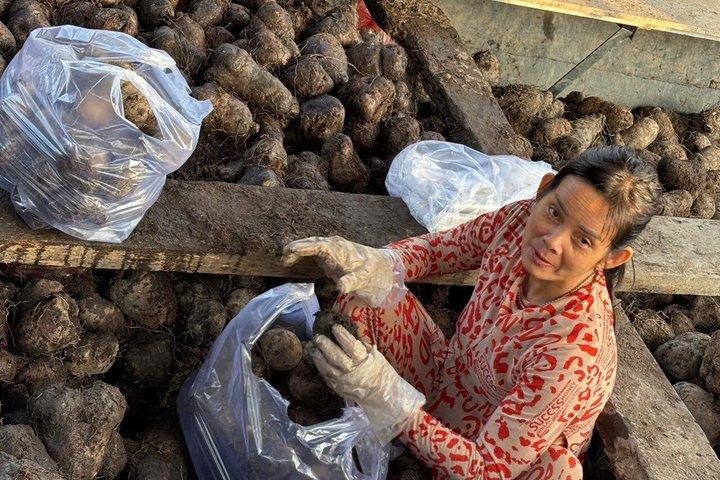 Can Tho: Floating Market, Canals, Tropical Orchards & Mekong Life