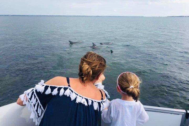 Frisky Mermaid Dolphin + sightseeingkryssning i Pensacola Beach