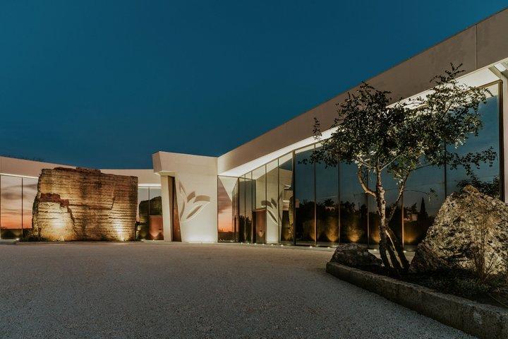 Tour vinícola con degustación de vinos en Salente