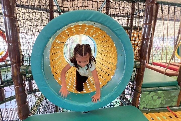 Santiago : Hop-On Hop-Off, Cerro San Cristobal and Adventure