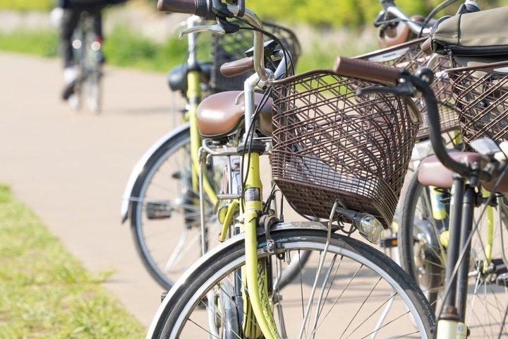 Tour en E-Bike por Kioto : Santuario Fushimi Inari & Gemas Ocultas