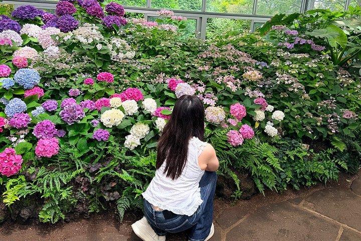 From Seogwipo: Jeju East Day Tour with UNESCO Site & Haenyeo Show