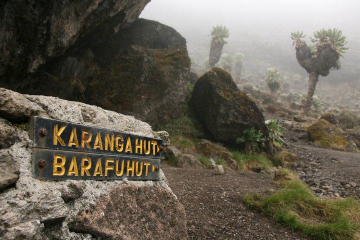Hotell nära Mount Kilimanjaro Climbing Tour