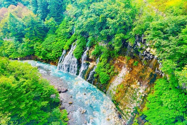 Furano og Biei Private Day Tour fra Sapporo