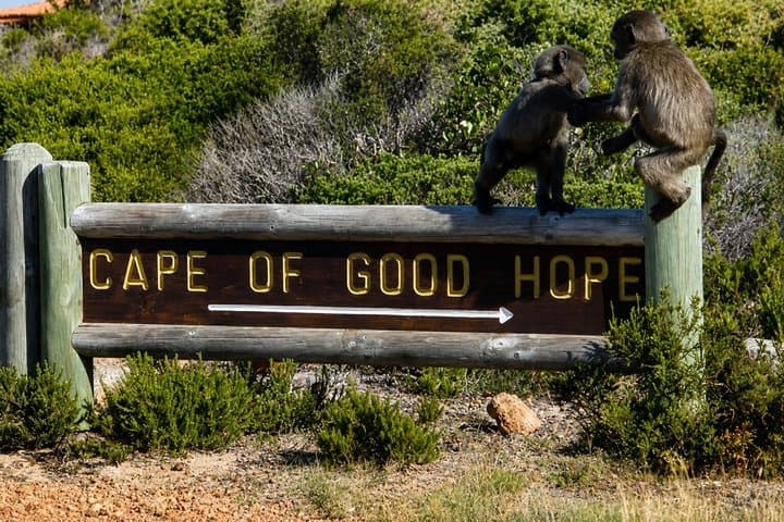 Cape of Good Hope, Cape Point & Penguins Private Morning Tour