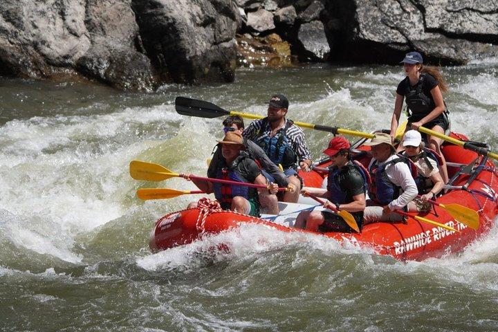 Whitewater Rafting Day Trip no Rio Salmon