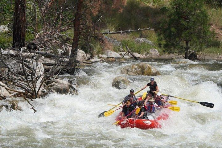 Whitewater Rafting Day Trip no Rio Salmon
