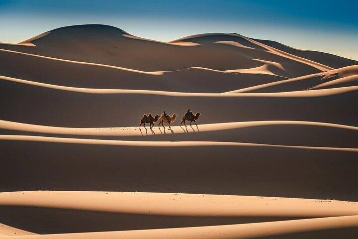 Private 2-tägige Halb-Gobi Wüste & Khustai Nationalpark Tour