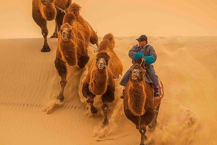 Private 2-tägige Halb-Gobi Wüste & Khustai Nationalpark Tour