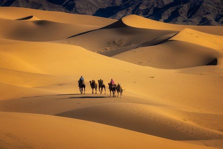 Private 2-tägige Halb-Gobi Wüste & Khustai Nationalpark Tour