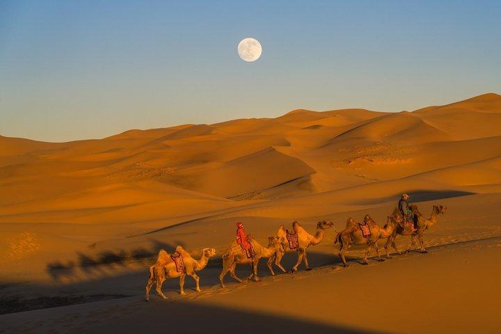 Private 2-tägige Halb-Gobi Wüste & Khustai Nationalpark Tour