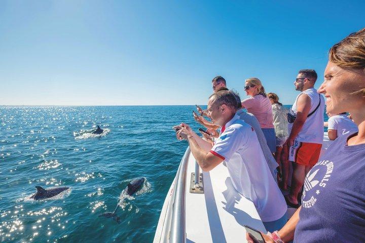Lagos: Dolphins & Benagil Caves - Catamaran with Marine Biologist
