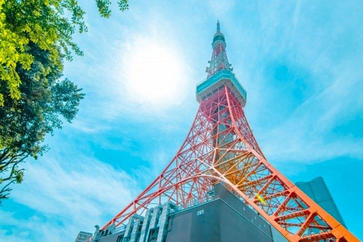 Sumo Show Upplevelse på Tokyo Tower med Japanska köket