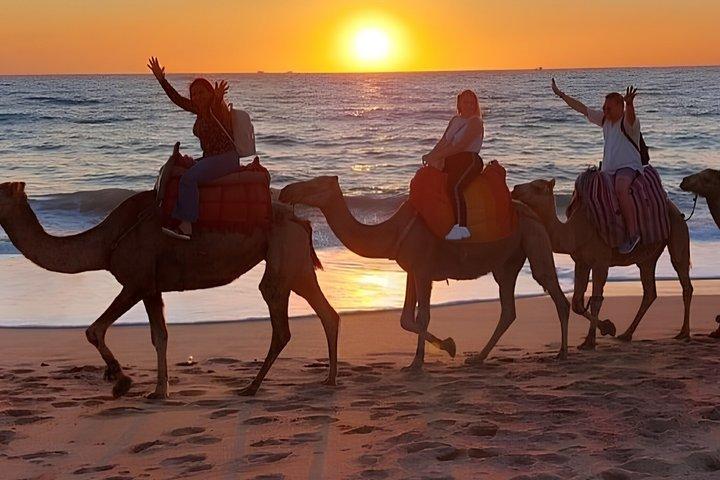 Private Cape Spartel 3-Hour Tour with Camel Ride from Tangier