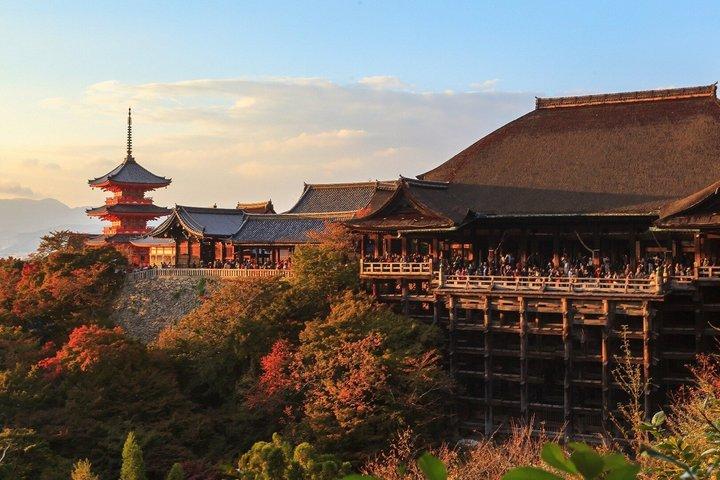 清水寺と歴史ガイド付き祇園散策