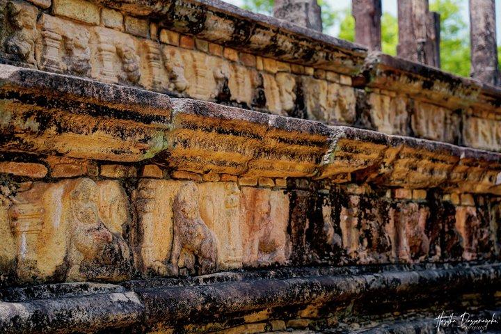 Visitare le rovine storiche di Polonnaruwa e Minneriya Safari