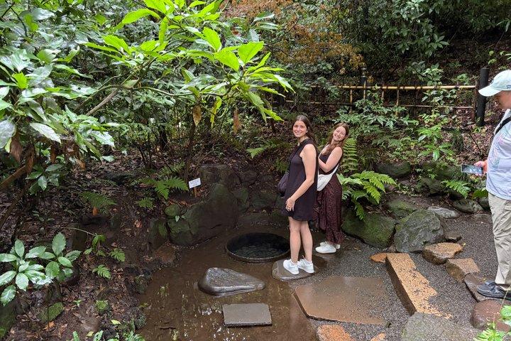 Tokyo Private Half-Day Highlights Tour by Car with Guide