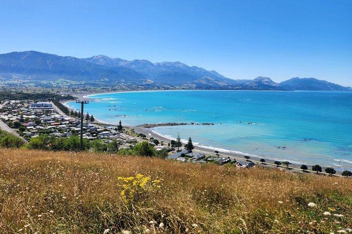 Excursion d'une journée à Kaikōura au départ de Christchurch avec un vol d'observation des baleines
