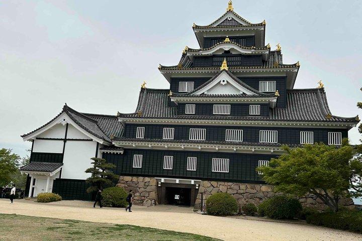 Okayama Castle und Korakuen Garden Tour von Okayama