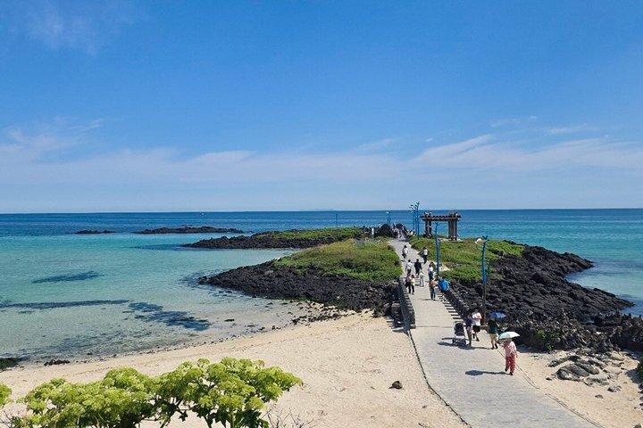 Jeju East Summer Hydrangea Tour with UNESCO site