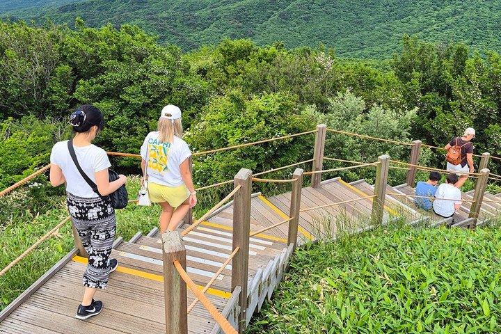 Jeju Island Süd UNESCO Highlights Tagestour mit dem Halla