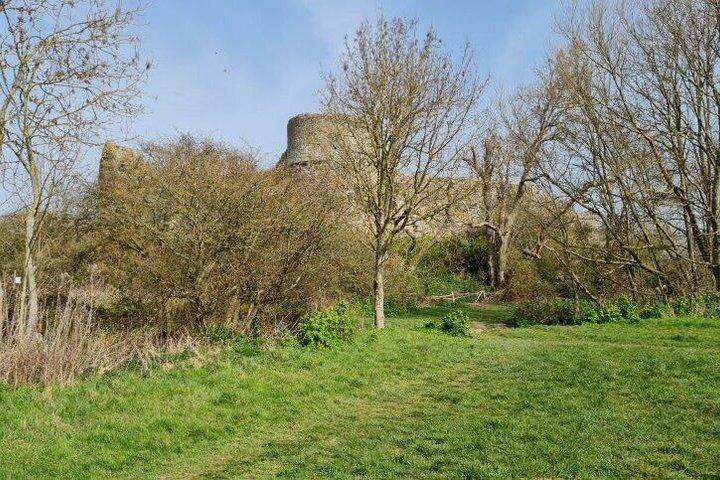1066 Castillo de Pevensey y alrededores Visita guiada privada