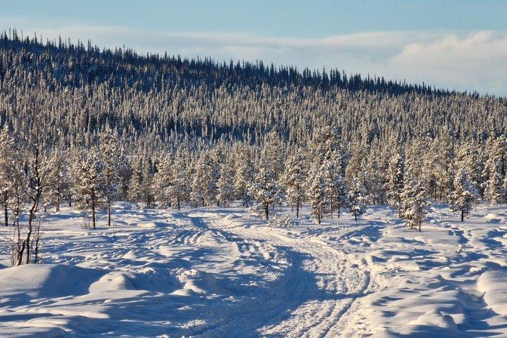 Tour de raquetas de nieve para grupos pequeños con Fika