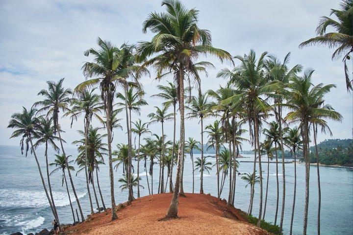 Plages du sud du Sri Lanka et Safari Escape Galle Mirissa Yala