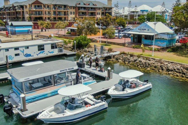 1 Hour Deluxe Scenic Dolphin Cruise