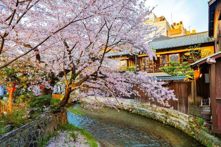 京都3時間プライベートウォーキングツアー(寺院入場付き)