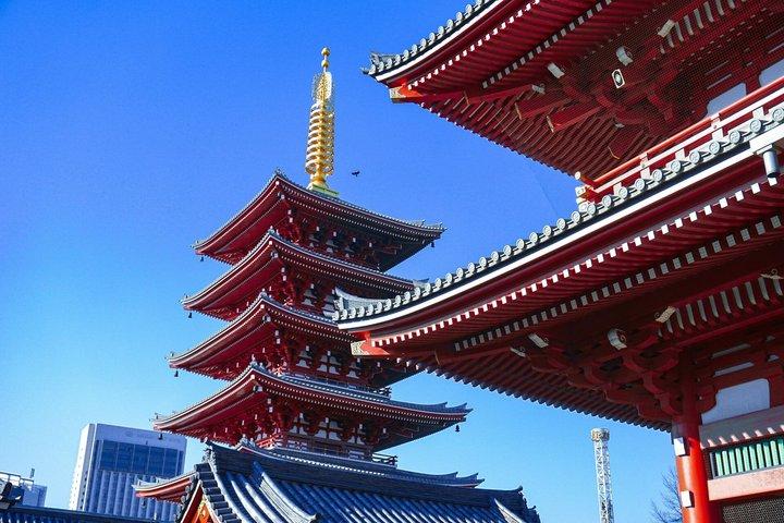 Private 6 Hour Tokyo Cruise Port Sightseeing Tour Driver Only