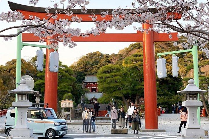 Erkunden Sie Kamakura Great Buddha, Enoshima und Shonan Coast