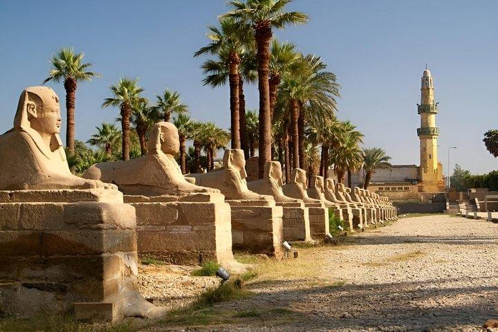 Privétour van een halve dag: Luxor- en Karnak-tempels
