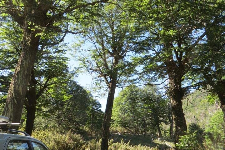 Off-Road und Hiking Abenteuer in San Martin de los Andes