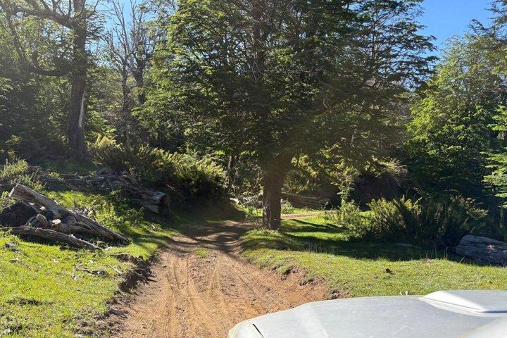 Off-Road und Hiking Abenteuer in San Martin de los Andes