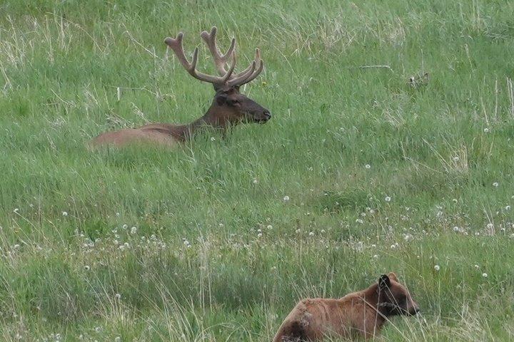 Banff Highlights & Wildlife | Award-Winning Small Group Adventure